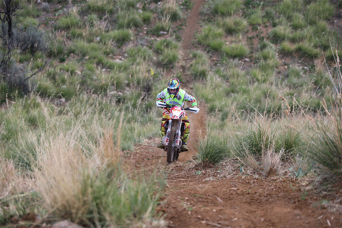 espeirenze_0002_16c34cbf-46f5-47e3-96e0-f5863ff5627b