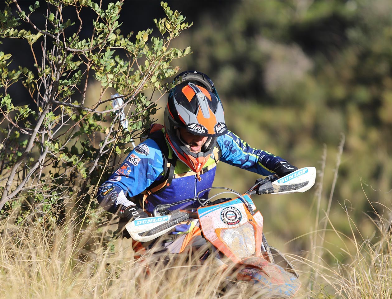 Sponsor Memorial Vincenzo Palmisano